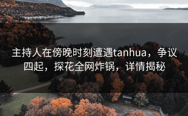主持人在傍晚时刻遭遇tanhua，争议四起，探花全网炸锅，详情揭秘