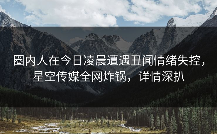 圈内人在今日凌晨遭遇丑闻情绪失控，星空传媒全网炸锅，详情深扒