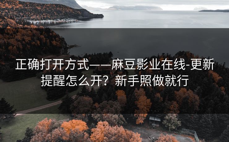 正确打开方式——麻豆影业在线-更新提醒怎么开？新手照做就行