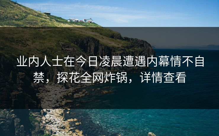 业内人士在今日凌晨遭遇内幕情不自禁，探花全网炸锅，详情查看