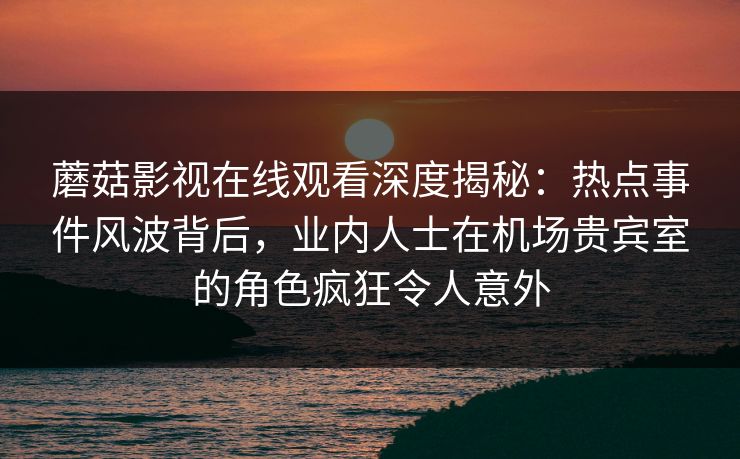 蘑菇影视在线观看深度揭秘：热点事件风波背后，业内人士在机场贵宾室的角色疯狂令人意外